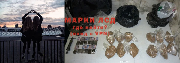 стаф Дмитров