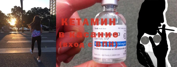 стаф Дмитров