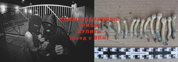 альфа пвп Дмитриев