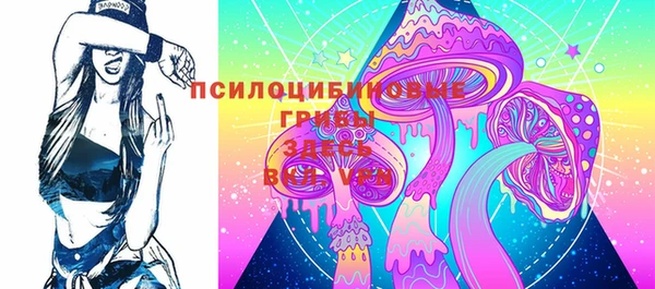 стаф Дмитров