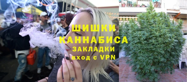 стаф Дмитров