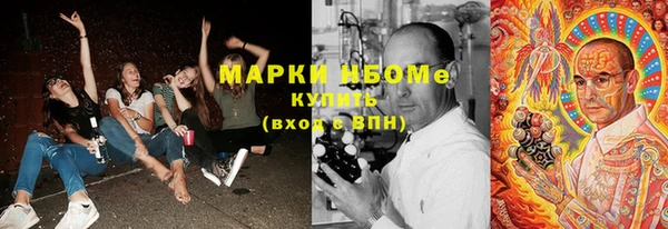 стаф Дмитров