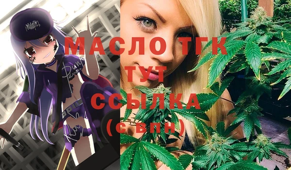 стаф Дмитров