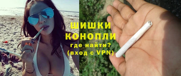 стаф Дмитров