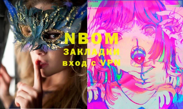 стаф Дмитров