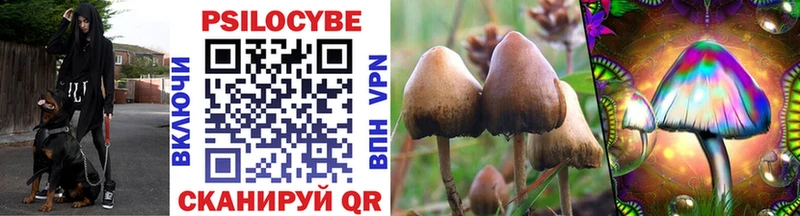 Галлюциногенные грибы Cubensis  Купить закладки  Таштагол 
